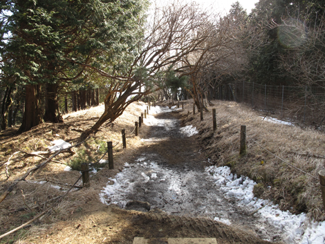 20170118hike (434)